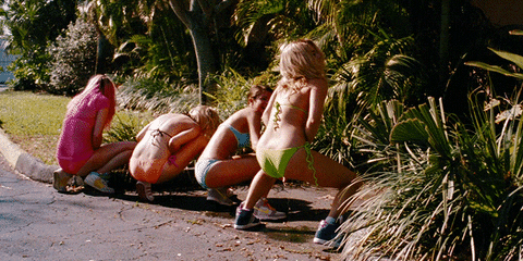 Spring Break GIF by A24