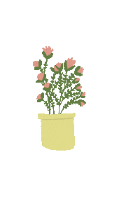 NeliaIllustration plant pot fleurs plante Sticker