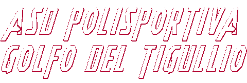 polisportivagolfodeltigullio giphyupload soccer calcio pgdt Sticker