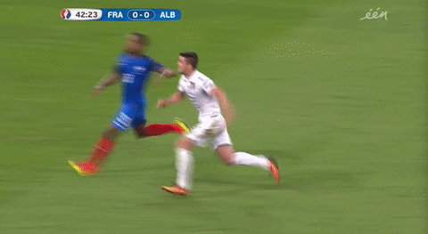 euro 2016 GIF by Sporza