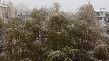 Snow Falls in Zagreb, Croatia, as Temperatures Dip