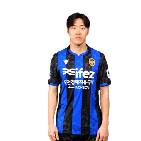 Football Soccer Sticker by Incheon United FC