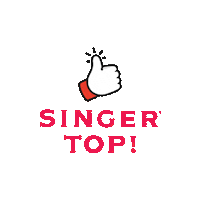 singerindonesia nice top singer great Sticker