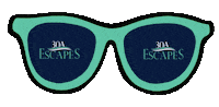 30aescapes 30a south walton sowal 30a florida Sticker