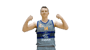 British Basketball Sticker by Sheffield Sharks
