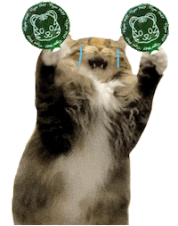 Sab Sticker