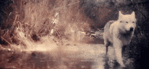 music video running GIF