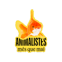Sticker by esquerrabcn