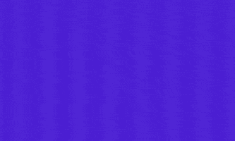 Fly Together Anaheim Ducks GIF by olive