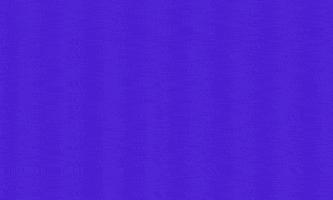 Fly Together Anaheim Ducks GIF by olive