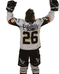 Ice Hockey Sticker by deb_teams