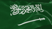 Saudi Arabia GIF