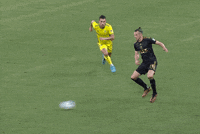 Los Angeles Football GIF by Major League Soccer