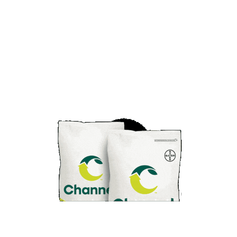 Channelcorn Sticker by Channel Seed