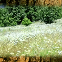 Oregon Wilderness GIF by Four Rest Films