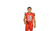 Utah Utes Sticker by Utah Football