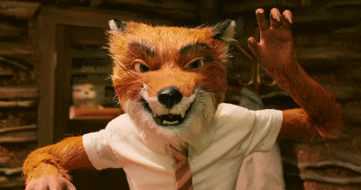 fantastic mr fox GIF