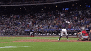 Celebrate Home Run GIF by MLB