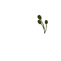 Flower Winter Sticker