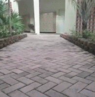 GIF by Demic