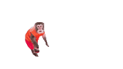 Fun Monkey Sticker