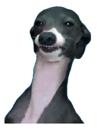 Dog Meme Sticker by noseon