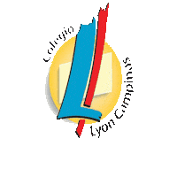 colegiolyoncampinas campinas colégio lyon campinas lyon campinas campinas lyon Sticker