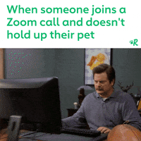GIF by Rover.com