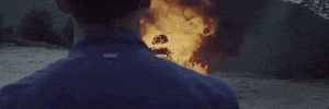 big cat GIF by Domino Recording Co.