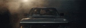 big cat GIF by Domino Recording Co.