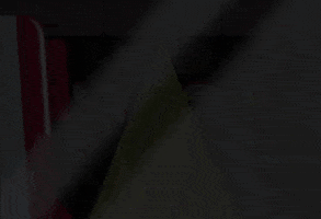 DoYouMoose travel vacation flying trip GIF
