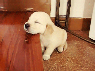 Tired Baby GIF