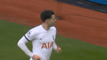Happy Premier League GIF by Tottenham Hotspur