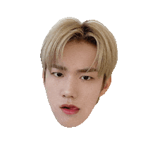P1Harmony Sticker