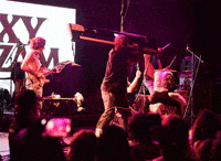 Excited Foxy Shazam GIF by wade.photo