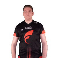 Celebration Win Sticker by STARK ESPORTS
