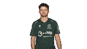 Hannover 96 Vbl Sticker by Bundesliga