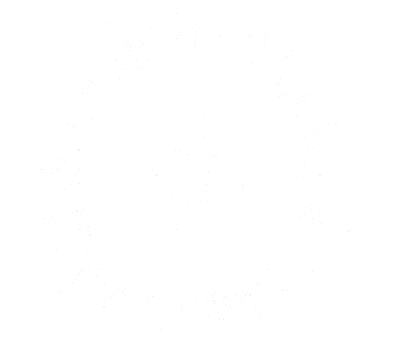 Star Sparkle Sticker
