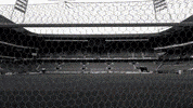 bundesliga saison GIF by SV Werder Bremen