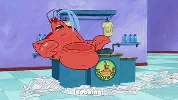 season 9 GIF by SpongeBob SquarePants