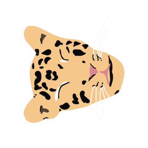 NicholeSesti cat leopard cheetah big cat Sticker