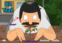 Beebs GIF