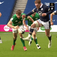 Scottish Rugby GIF by Guinness Six Nations