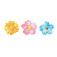 今日好き Sticker by kyousuki_abema