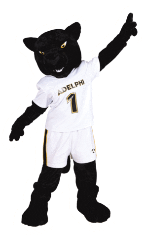 AdelphiU giphyupload paws adelphi adelphiu Sticker