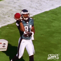 National Football League GIF by NFL