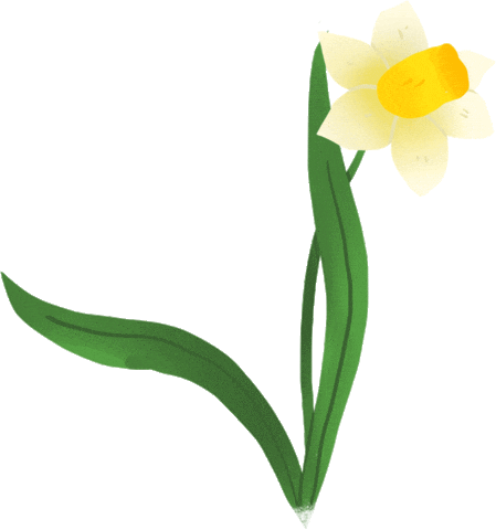 Spring Daffodil Sticker by Lara Paulussen