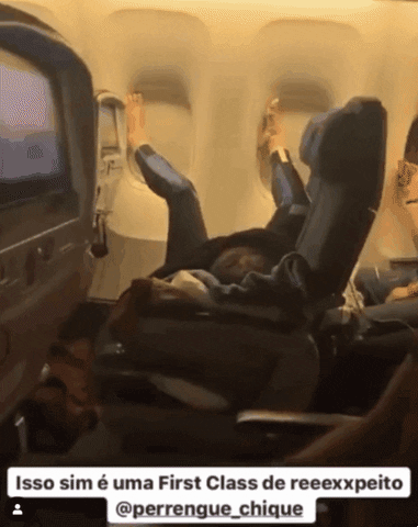 patraschew giphyupload GIF