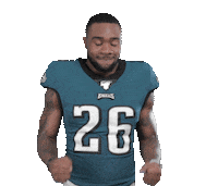 Philadelphia Eagles Yes Sticker by NFL