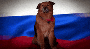 GIF by Chelsea Handler